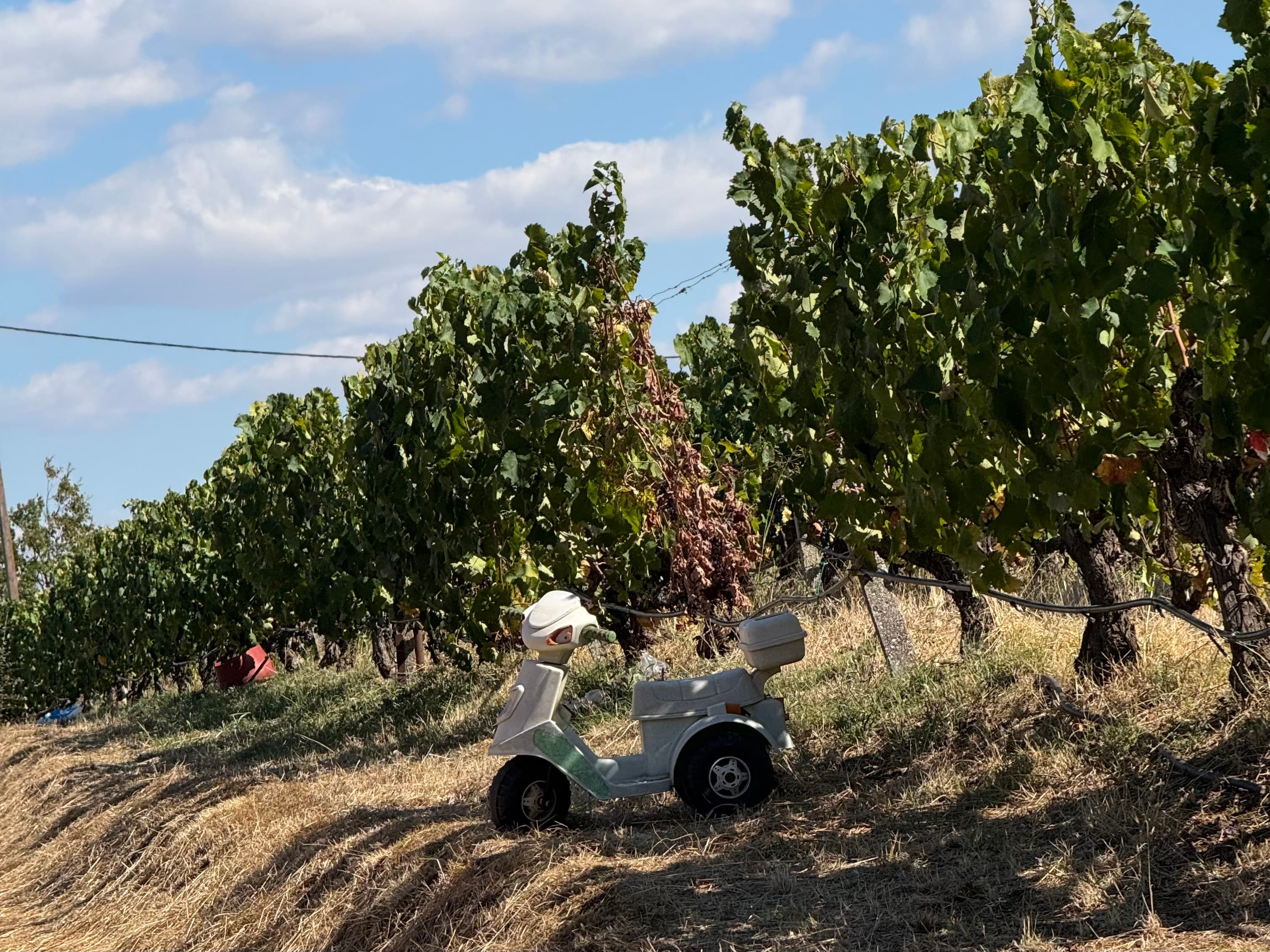 The 2026 Harvests: A Year of Reality Checks